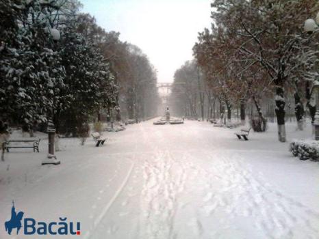 iarna_zapada_bacau (10)